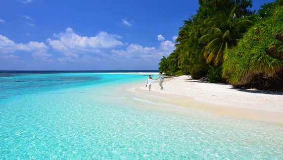 maldivi cena