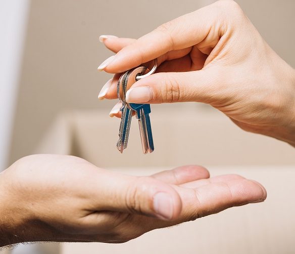 Apartman na dan Beograd