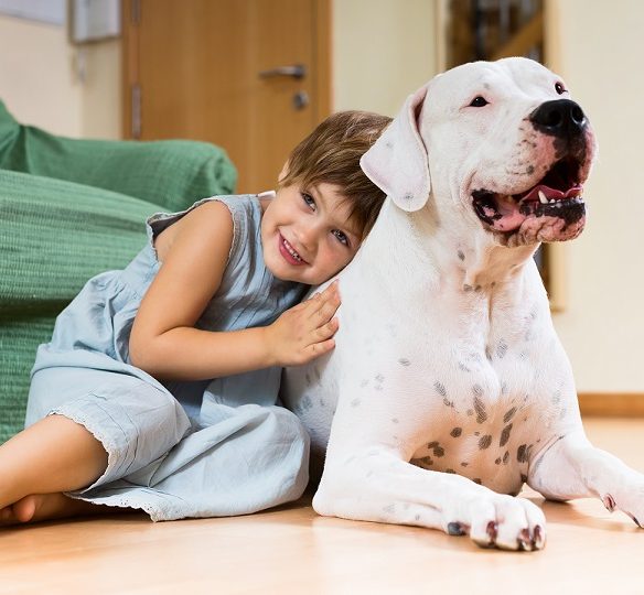 Pet friendly hotela u Beogradu