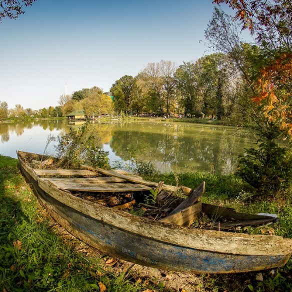 ada safari beograd